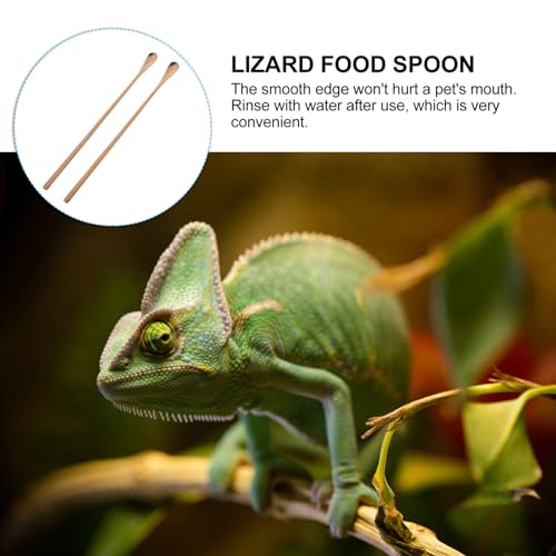 POPETPOP 2pcs Reptile Food Spoon Long Handle Feeding Tool for Lizards and Animals Mixing Spoon for Reptile Powder and Fruit - color: As Shown 1