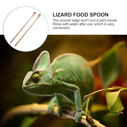 POPETPOP 2pcs Reptile Food Spoon Long Handle Feeding Tool for Lizards and Animals Mixing Spoon for Reptile Powder and Fruit - color: As Shown 1