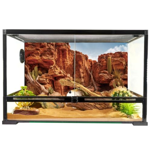 Desert Rock Cactus Reptile Habitat Background, 36x24 In Terrarium Backdrop | AWERT terrarium backdrop with weathered rock , driftwood, desert plants & sand substrate, polyester reptile habitat decor - size: 36x24in/90x60cm