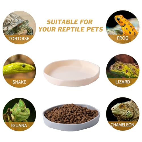 4 Pack Small Reptile Food Dish Bowl, Plastic Worm Water Dish Plate | Reptile Food Bowls for Lizard Gecko Bearded Dragon Chameleon 4" W x 4" D x 0.5" H, White and Grey - color: White and Grey