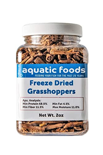 Grasshoppers - Freeze Dried Grasshoppers for Tropical Fish, Reptiles, Turtles, Tortoises Frogs, Hamsters, Birds, Rodents…2oz Small Jar - size: 2 Ounce (Pack of 1)