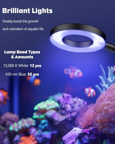 Pawfly Aquarium Light for 1-3 Gallon Saltwater Fish Tanks, Clip On LED Reef Light for Corals, Dimmable USB Aquarium Lamp with Full Spectrum Lighting and Timer (Adapter Not Included) - size: For 1 to 3 Gallon Fish Tank
