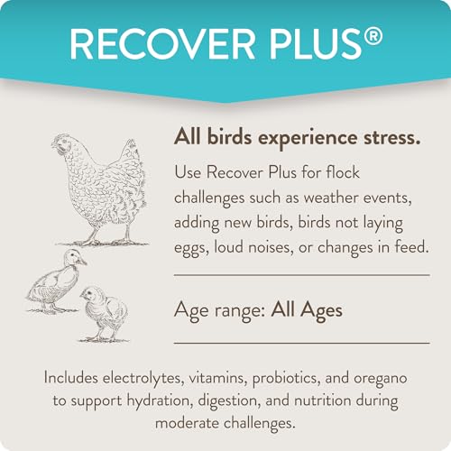 Recover Plus Moderate Stress Probiotic Water Supplement for Chickens with Electrolytes & Oregano, 8 oz - size: 8 Ounce (Pack of 1), style: Recover Plus