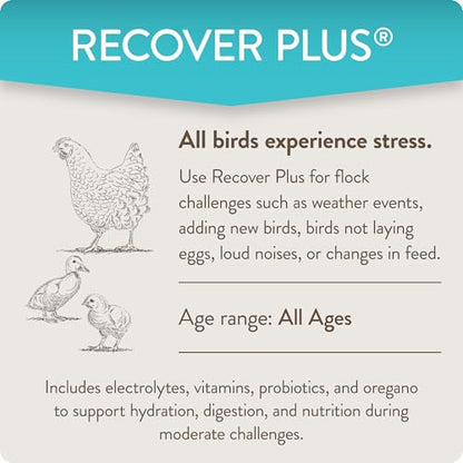 Recover Plus Moderate Stress Probiotic Water Supplement for Chickens with Electrolytes & Oregano, 8 oz - size: 8 Ounce (Pack of 1), style: Recover Plus