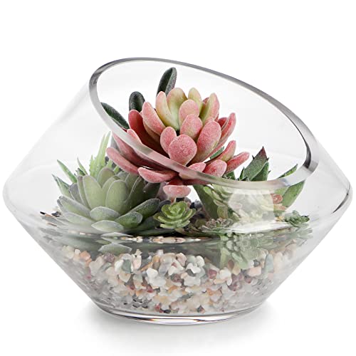 MDLUU Glass Bowl, 7.8" W x 5.5" H Geometric Terrarium, Candy Dish, for Succulent, Potpourri, Clear