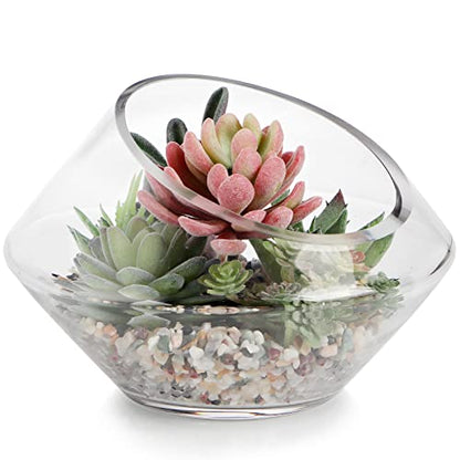 MDLUU Glass Bowl, 7.8" W x 5.5" H Geometric Terrarium, Candy Dish, for Succulent, Potpourri, Clear