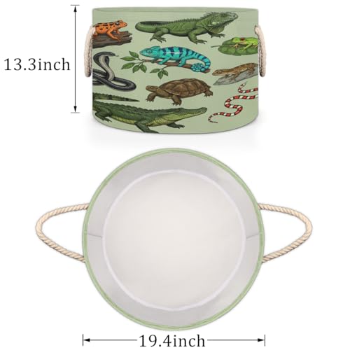 Large Storage Baskets - Reptiles Amphibians Nursery Round Organizer Bin Box with Handles, Collapsible Laundry Hamper for Kids Toys, Blanket, Bedroom Living Room Home Decor, Gift Basket