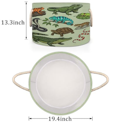 Large Storage Baskets - Reptiles Amphibians Nursery Round Organizer Bin Box with Handles, Collapsible Laundry Hamper for Kids Toys, Blanket, Bedroom Living Room Home Decor, Gift Basket