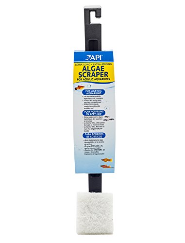 API ALGAE SCRAPER For Acrylic Aquariums 1-Count Container - color: Green, size: Scraper (Pack of 1)