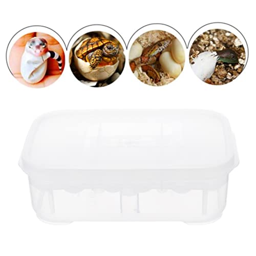 DOITOOL 3pcs Reptile Hatching Incubation Box Two Design for Eggs for Snakes and Lizards Efficient Reptile Breeding Container