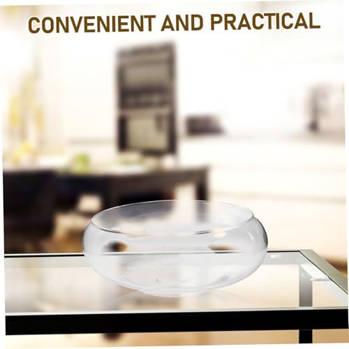 ORFOFE Glass Hydroponic Vase Plant Nursery Pots Propagation Jars Reptile Terrarium
