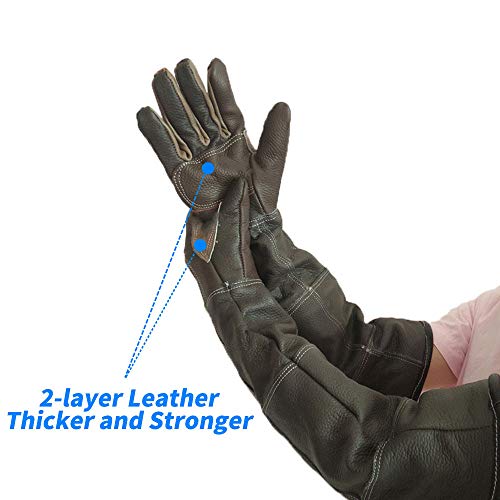 YBB Waterproof Animal Handling Gloves, Anti-Scratch/Bite Protective Long Gloves for Pet Cat Bathing Dog Bird(M) - color: Palm Width 5" for Men