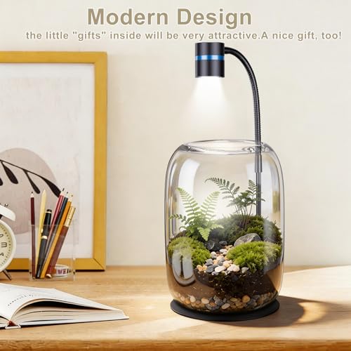 Glass Plant Terrarium with LED Grow Light for Home Office | 8.46" H x 5.9" D, Grow Light for Terrarium for Venus Fly Trap, Moss & Succulents, for Plant Lovers