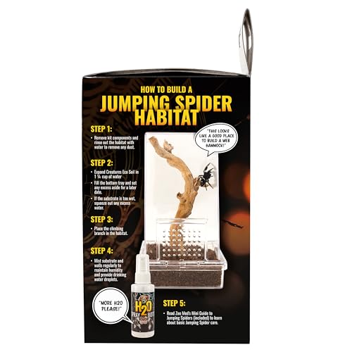 Zoo Med Jumping Spider Kit