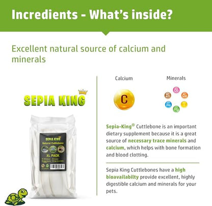 Sepia King - Large - Cuttlebone for Birds, Tortoises, Snails, Reptiles 5.5-7" - 8.8oz - 100% Natural Calcium Supplement, Food and Toys for Parakeets, Turtles
