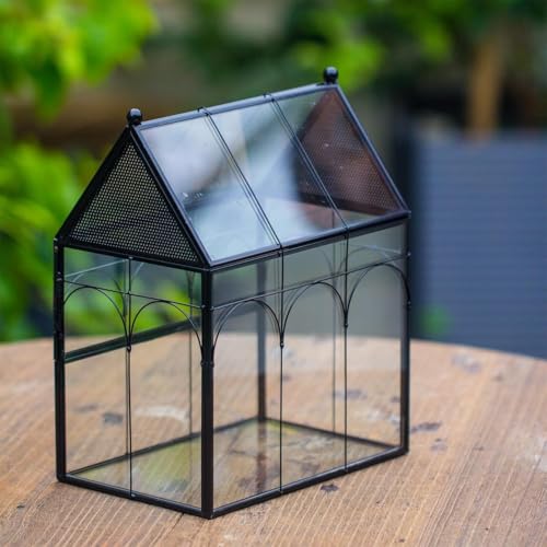 NCYP Glass Enclosure with Vent Holes for Jumping Spiders, Praying Mantis, Small Insect - 7.5" x 4.9" x 9" Front Opening Door Vented Glass Terrarium - House Shape, Home Decor, Black (Terrarium Only) - size: 7.5" x 4.9" x 9"