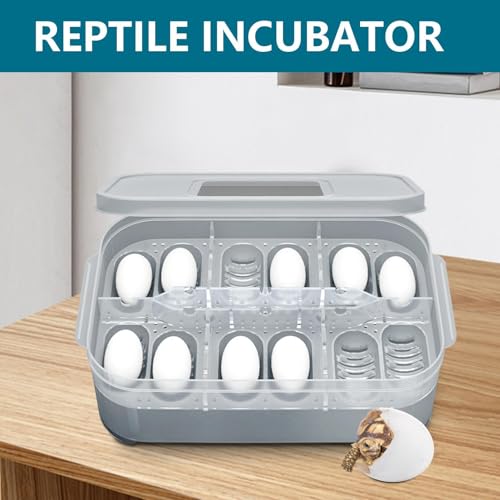 Clear Incubator Transparent Floating Design 12 Grids Reusable | Snake Incubation Box 12 Grids Transparent Floating Design Reusable Clear Incubator Box Incubation for Frog Snake Lizard