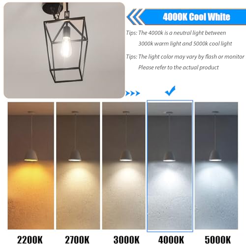 winsaLED 40 Watt Light Bulbs, E26 Bulb, 4000K Cool White 4W LED Edison Bulbs, Flickering Free, 90 High CRI, 450LM, Not Dimmable, Pack of 12 - color: 4000k-cool White