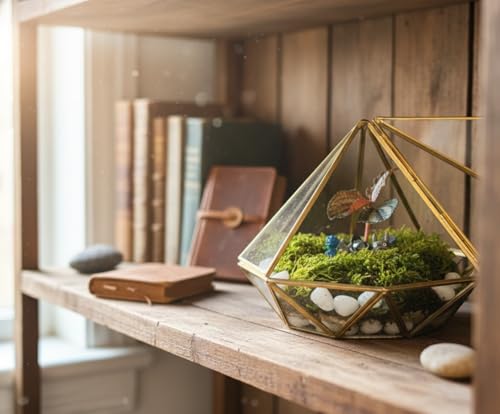 DIY Terrarium Kit | Pebbles Sphagnum Moss Activated Carbon Burlap Peat Moss Tools | Terrarium Supplies (Advanced) - style: Advanced