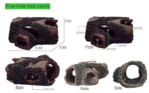 Beard Dragon,Lizard and Reptile Hide,Fish Tank Accessories Hides,Aquarium Decor for Betta Fish,Shrimp,Hermit Crabs,Spiders,Mice,Leopard Geckos,Toads and Frogs (Brown, m) - size: m