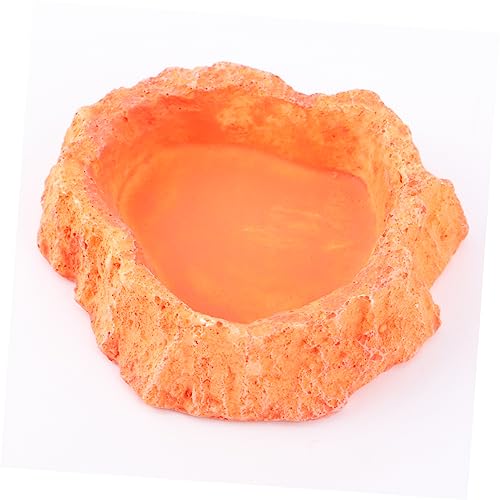 Toddmomy Reptile Water Bowl Lizard Accessories Reptile Food Feeder Bowl Skid-Resistant