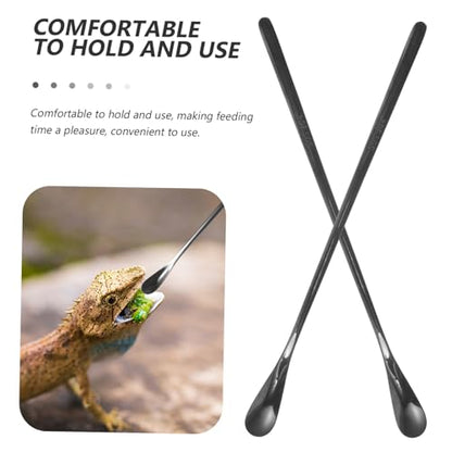 2pcs Stainless Steel Feeding Spoon for Reptiles Small Animal Lizard Pet Food Scoop Tool