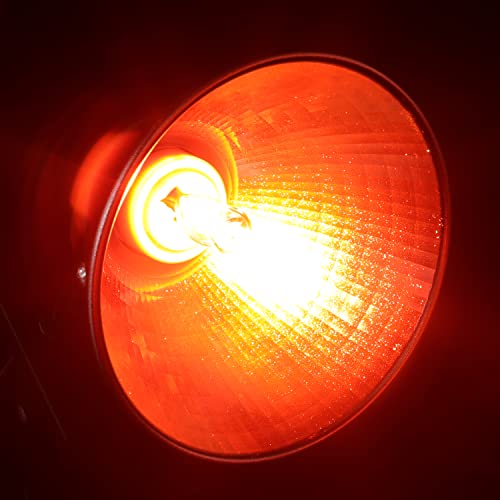 6 Pack G9 Infrared Heat Lamp Bulbs - Dimmable Night Red UVA Reptile Heat Lamp, 2 Pin Base Mini Reptile Light Bulb Replacement (50 Watt)