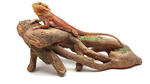 Gnarled Large Root, Brown, Reptile Habitat Accessory