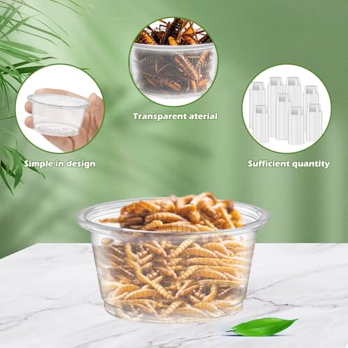 1200PCS 0.5oz Gecko Food Cups | Durable Plastic Leak-Proof Reptile Feeder Cups - for Geckos, Lizards & Small Pets | Multi-Purpose for Terrarium Daily Feeding(0.5oz) - size: 1200PCS