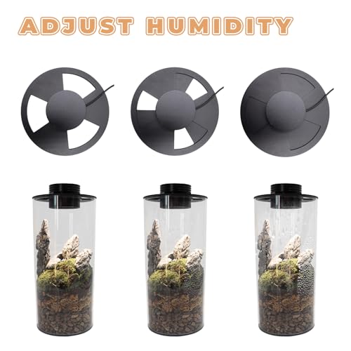 5W Grow Light for Vases Up to 5.9 Inches in Diameter, Terrarium Light with Controller for Adjust Brightness and Timer, Aquarium Plant Light