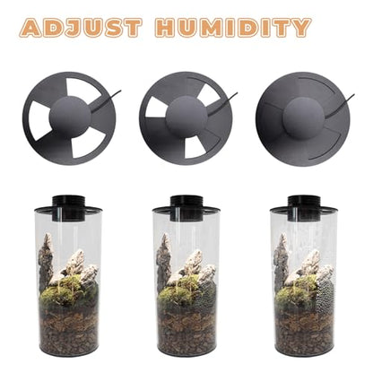 5W Grow Light for Vases Up to 5.9 Inches in Diameter, Terrarium Light with Controller for Adjust Brightness and Timer, Aquarium Plant Light