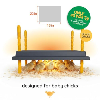 Hatching Time Warmzy 16"x22" Chick Heating Plate – Safe 40W Chicken Coop Heater for 50–55 Chicks with Adjustable Legs | Gentle Low-Heat Brooder Plate for Chicks, Durable Fire-Resistant Chicken Heater - size: 16" x 22" for 50–55 Chicks