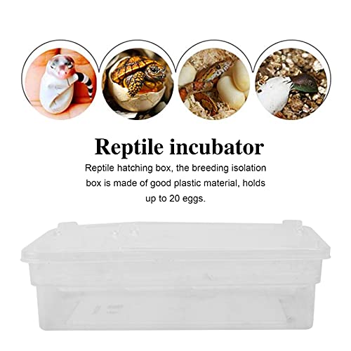 POPETPOP Hatching Box for Reptiles Lightweight Incubation Container for Snakes Lizards and Geckos Transparent Design for Visibility Safe Plastic Material for Growth