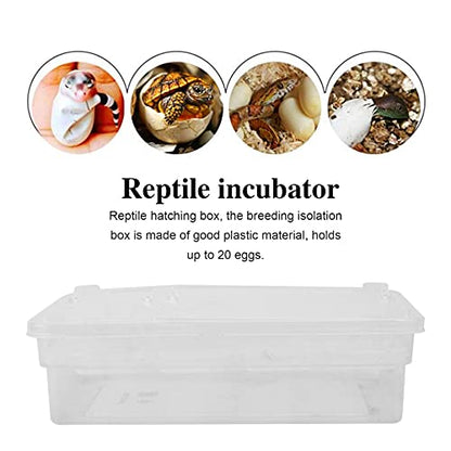 POPETPOP Hatching Box for Reptiles Lightweight Incubation Container for Snakes Lizards and Geckos Transparent Design for Visibility Safe Plastic Material for Growth