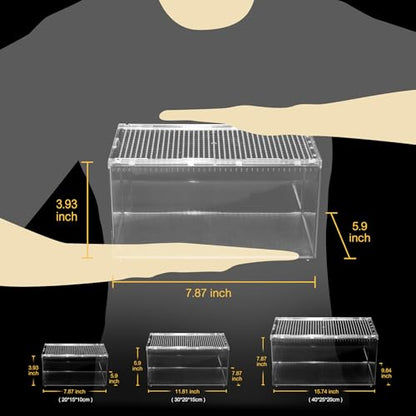 Slide Lid Tank L 11.8x7.8x5.9IN and Reptile Terrarium Kit L 15.6“ x 8“ x 10”