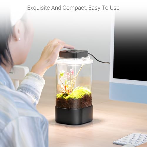 REPTI ZOO Insect Terrarium, 4" x 4" x 6" Insect Breeding Box with LED Lighting & Fan System, Glass Terrarium Tank for Spiders, Snail, Mantis and Small Reptiles