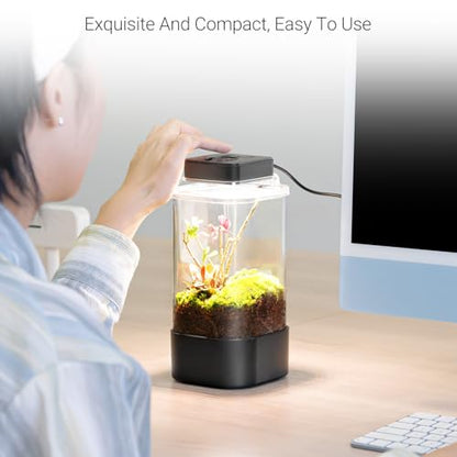 REPTI ZOO Insect Terrarium, 4" x 4" x 6" Insect Breeding Box with LED Lighting & Fan System, Glass Terrarium Tank for Spiders, Snail, Mantis and Small Reptiles