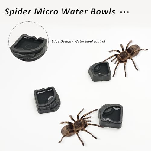 6 Pcs Spider Micro Water Bowls, Mini Resin Dish for Tarantula, Spider, Millipede and Tiny Reptiles, Food/Water Dish for Enclosure Accessories (Small: 1.01" D, 0.39" H) - size: Small- 6pack