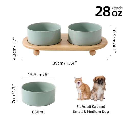 Havniva Raised Cat Bowl, 6.1” Elevated Ceramic Cat Food and Water Bowl Set | Cat Bowls Elevated, Whisker Friendly Cat Bowl, Non-Slip Wood Stand, Food-Grade Ceramic, Wide Opening, Dishwasher Safe - color: Light Green, size: 2 Bowls+Tray - 6.1"