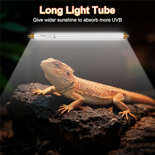 UVB Light for Reptiles Bearded Dragon, 3 Pack T5 UVB Reptile Light UVB Bulb 10.0 8W UVA UVB Reptile Light Bulb Terrarium Light Lamp Tube for Turtle Chameleon Leopard Gecko Snake Tank, 12 Inch - size: T5-12 Inch(3 Pack)