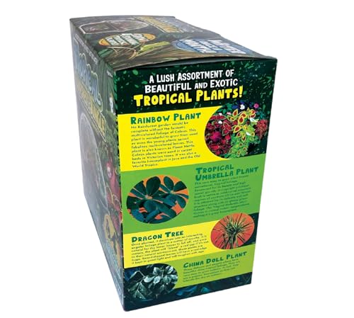 Toys by Biosphere Terrarium Starter Kit with Complete Supplies to Create Your Own Jungle! Indoor Plants for Home Displays and Gardens (Tropical Rainforest Jungle) - style: Tropical Rainforest Jungle