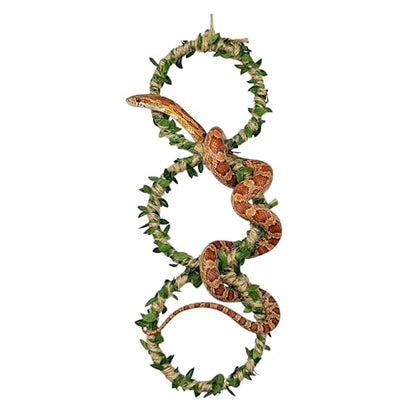 3-Tier Snake Climbing Rings for Ball Python - Natural Jungle Vine Enclosure Accessories, Reptile Habitat Decor, Hanging Enrichment Toys for Corn Snakes, Geckos, and Small Lizards
