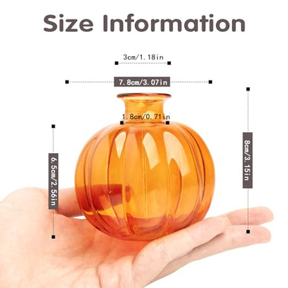 XXXFLOWER Plant Terrarium Propagation Stations Unique Gifts for Women Plant Lovers 3Pcs Pumpkin-Shaped Glass Vase for Tabletop Home Office Garden Decor (Plants NOT Included) - size: 3PCS Pumpkin Vase