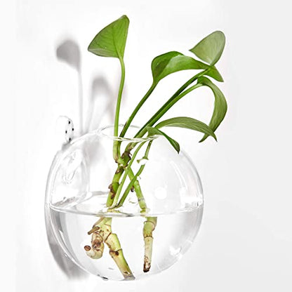 Wall Hanging Planters Terrarium Glass Air Plant Holder Pots for Plants
