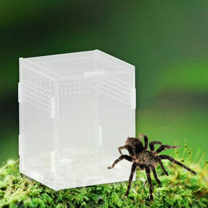 Reptile Breeding Box Acrylic Terrarium Habitat Container for Turtles Snakes Chameleons Geckos Feeding Hatching Case Enclosure- 8x7x10cm