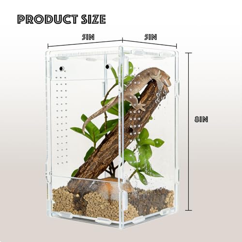 5x5x8 Acrylic Reptile Enclosure - Clear Small Pet Terrarium | Distortion-free all-acrylic build with top and side ventilation for clear observation - size: 5"5"8"