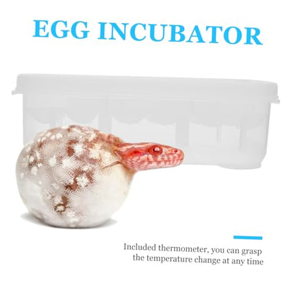 BESPORTBLE Compartments Reptile Egg Incubator Tray for Hatching Lizards and Geckos Durable Breeding Box with Temperature Gauge Efficient Egg Holder for Reptile Hatchery