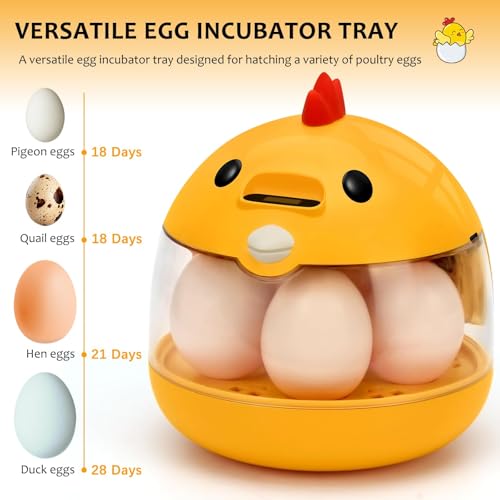 Automatic Egg Incubator for Hatching Eggs with LED Temperature Display, Humidity Control & Egg Turner, Clear Lid Incubator for Chicken, Quail & Bird Eggs (6 Egg Capacity)