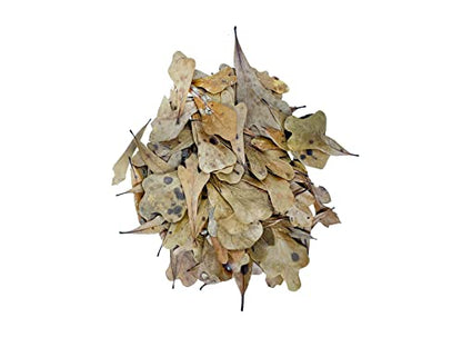 The Bio Dude Leaf Litter - Water Oak Litter - Great for bioactive terrariums, vivariums and Fish
