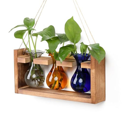 Plant Propagation Station Plant Terrarium Unique Birthday Gifts for Women | Plant Lovers Home Office Decor Planter with Wooden Stand - 3 Bulb Glass Vase